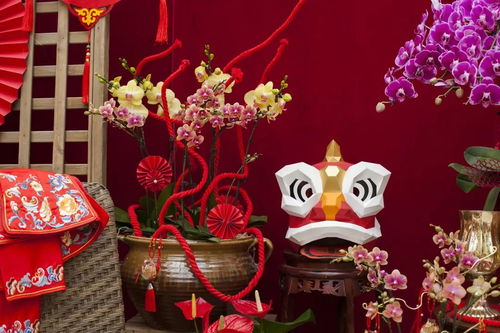 虹越黑五2019年宵花禮5折預(yù)售 與家人動手過新年，禮品花卉溫暖冬日